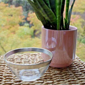 Vintage 1950s Arcoroc Clear Glass Bowl Silver Rim French Retro